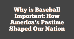 Why Is Baseball Important: How America's Pastime Shaped Our Nation