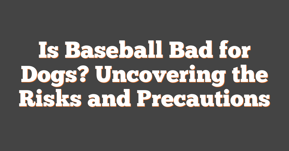 Is Baseball Bad for Dogs? Uncovering the Risks and Precautions